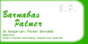 barnabas palmer business card